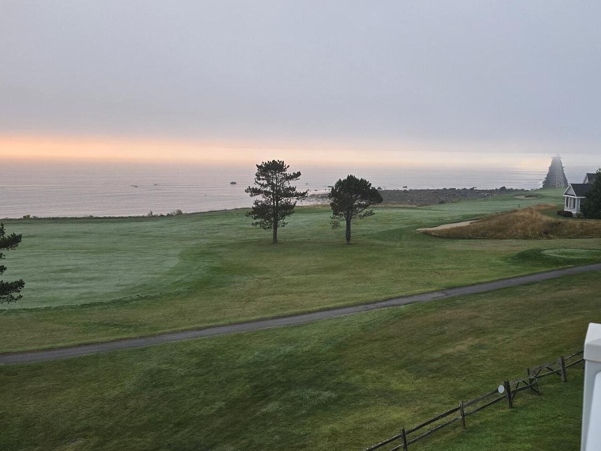 Coastal lawn with pine trees overlooking the sea